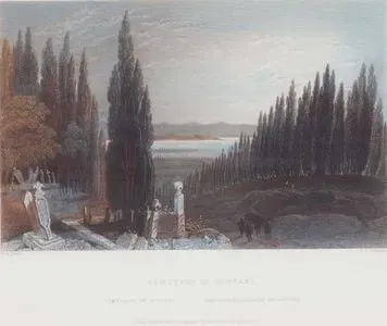 Cemetery Of Scutari-Cimetiere De Scutari-Der Begrabnissplatz Zu Scutari