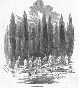 Burial Ground İn Constantinople