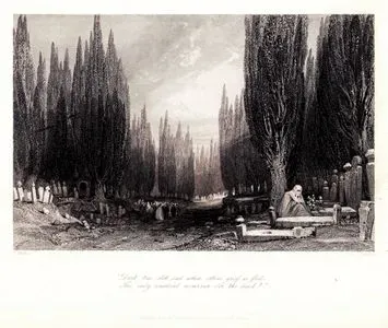 The Great Cemetery of Scutari-Dark Tree, Still Sad When Others' Grief Is Fled, The Only Constant Mourmer Oer The Dead