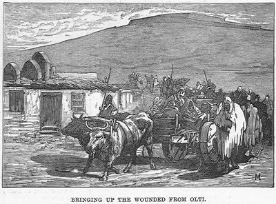 Bringing Up The Wounded From Olti
