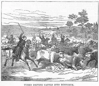 Sketches Of The War, Turkish Driving The Cattles Rustchuk