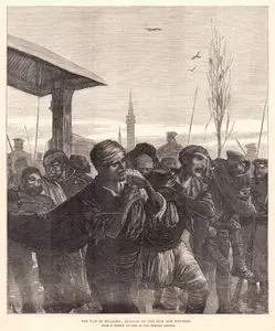 The War in Bulgaria, Removal of the Sick and Wounded