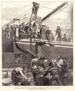 British Squadron Off Tuzla, Sea Of Marmora, Shipping Beef On Board HMS Alexandra