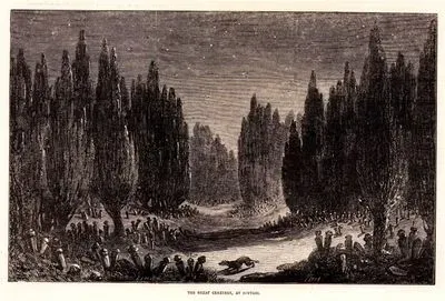 The Great Cemetery At Scutari