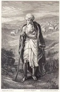 An Eastern Shepherd