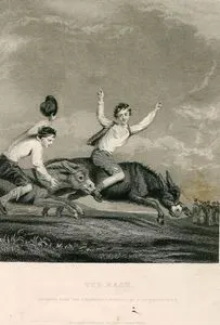 The Race