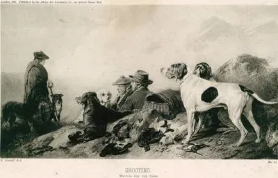 Shooting, Waiting For The Guns No.12