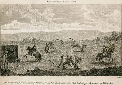 The manner In Which The Natives Of Paraguay (Spanish South America) Catch Their Bullocks For The Purpose Of Killing Them