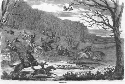 Fox Hunting