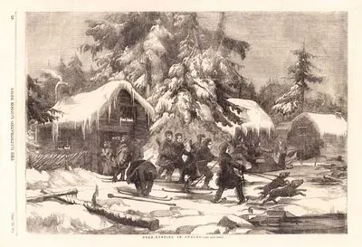 Bear Hunting in Sweden