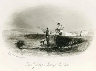 The Young Shrimp Catcher