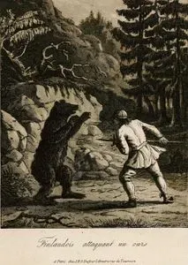 Finlandois Attaquant Un Ours