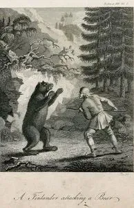 A Finlander Attacking A Bear