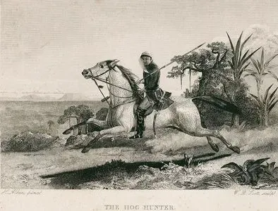 The Hog Hunter
