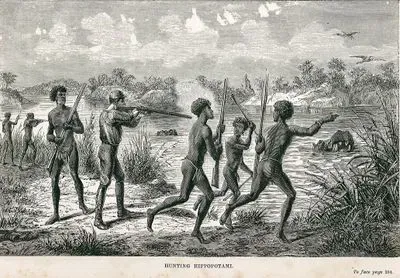Hunting Hippopotami