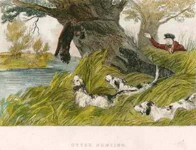 Otter Hunting