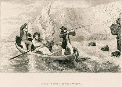 Sea Fowl Shooting
