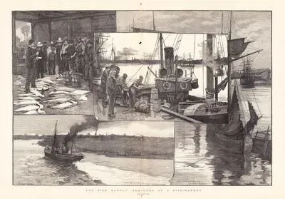 The Fish Supply, Sketches of A Fish Market-Selling Fish By Auction, Trawler Landing Fish, Trawler And Shrimp Boats Outward Bound, Dock With Distant View Fish Market