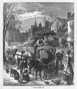 Suburban Water Carts