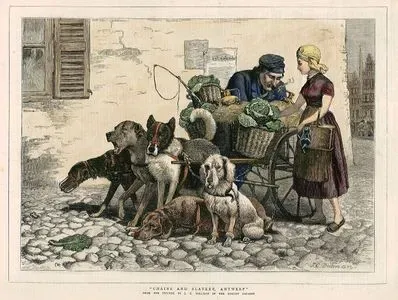 Chains And Slavery, Antwerp