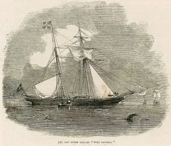 The New Opium Clipper "Wild Dayrell"