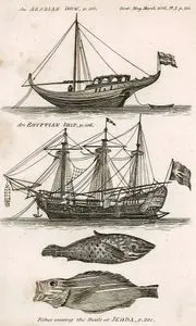 An Arabian Dow, An Egyptian Ship, Fishes Among The Shoals at Jedda