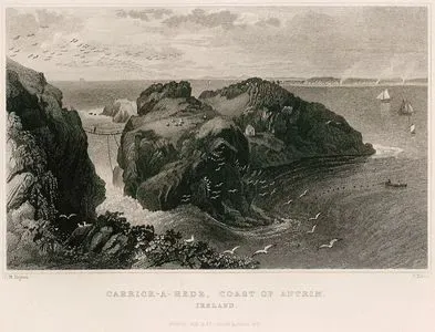 Carrick A Rede, Coast Of Antrim, Ireland