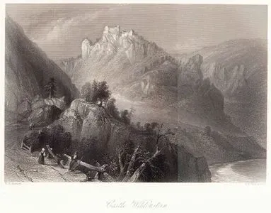 Castle Wildenstein