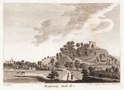 Montgomery Castle Pl.2