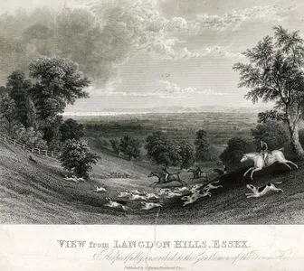 View From Langdon Hills, Essex