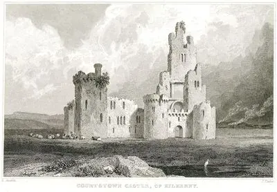 Courtstown Castle, Co. Kilkenny