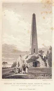 Obelisk At Newtown Park, County, Dublin