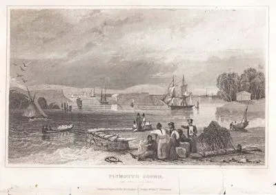 Plymouth Sound From Mount Edgcombe