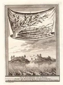 Vue De Mozanbique, Tiree De Herbert-Gezigt Van Mozambique, Getrokken Uit herbert-Sargosse, Trombas