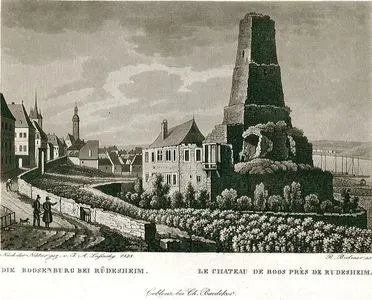 Die Boosenburg Bei Rüdesheim-Le Chateau De Boos Pres De Rudesheim