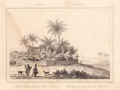 Bresil, Maison d'un Planteur Bresilien-Brasilien, Wohnung Eines Brasilianischen Pflanzers (House Of A Brazilian Planter)