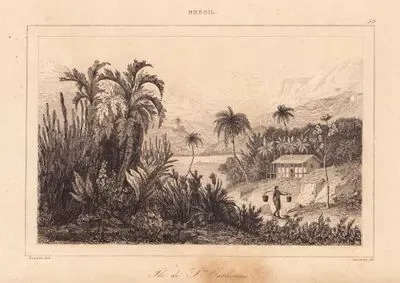 Bresil, Ile de St. Catherine