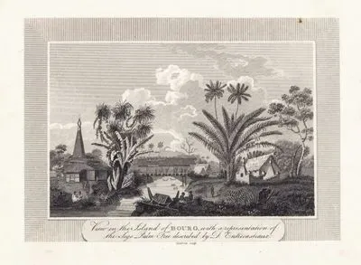 View in The island Of The Bouro With A Representation The Sego Palm Tree Described By D'Entrecasteaux