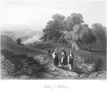 Fields of Bethany