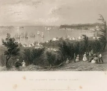 The Narrows From Staten Island