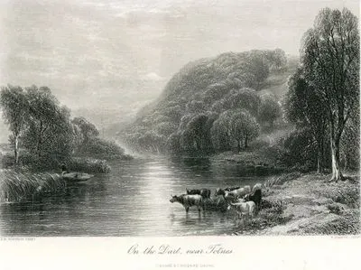 On The Dart, Near Totnes
