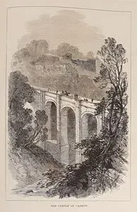 Old Castle Of Cadzow