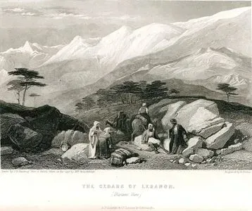 The Cedars Of Lebanon (Distant View)