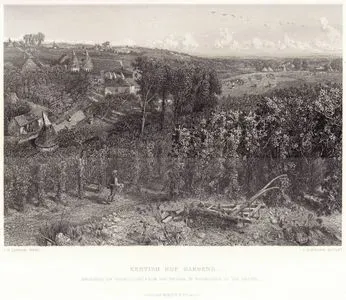 Kentish Hop Gardens