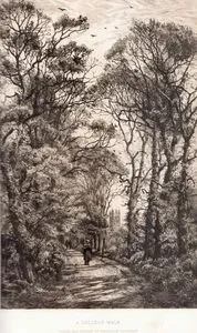 A College Walk