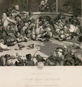 The Cock Pit