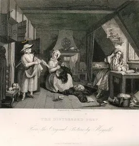 The Distressed Poet