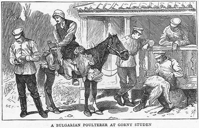 A Bulgarian Poulterer At Gorny Studen