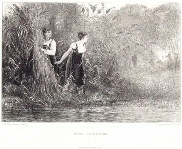 Reed Gathering