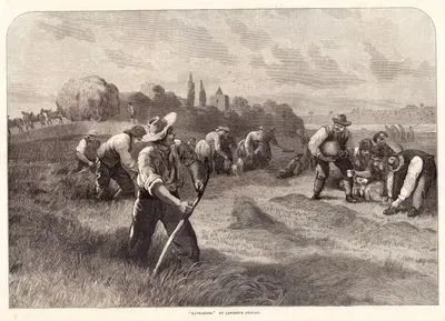 Haymakers